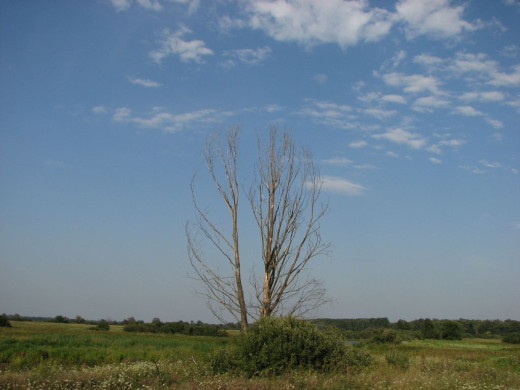 35180 (a): :1024x768